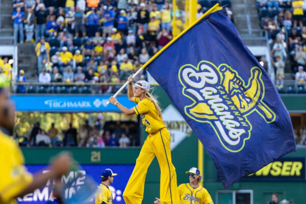 Savannah-Bananas-Flag-on-Pole-2