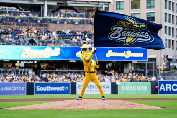 Savannah-Bananas-Flag-on-Pole-3